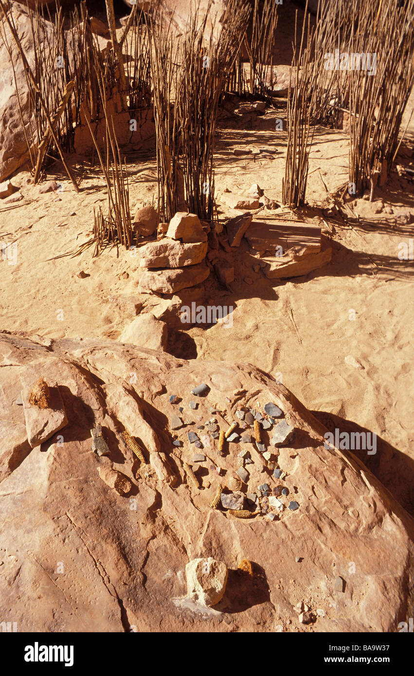 Tessons de poterie et la Turquie La Turquie à pen Pen ruine Grand Gulch Zone Primitive Utah Banque D'Images