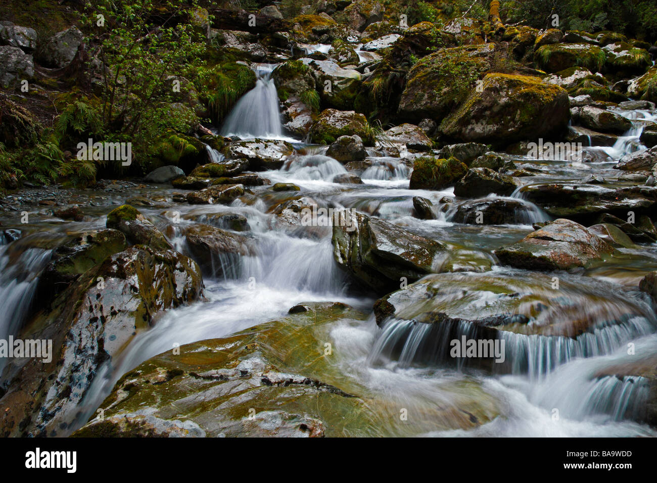 Cascade sur la Routeburn Track, Nouvelle-Zélande Banque D'Images