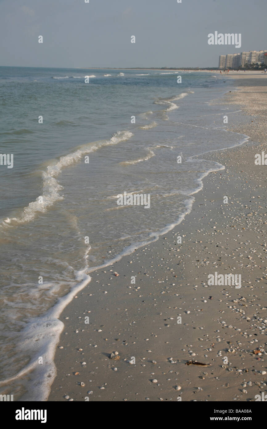 Vagues sur le rivage à Marco Island en Floride avec des coquillages dans le sable Banque D'Images