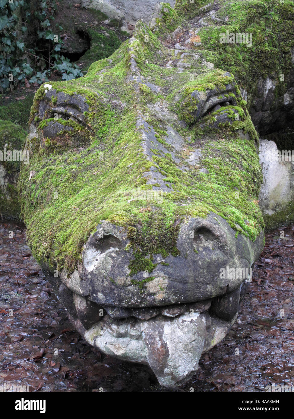Dragon en pierre, la colline, Allemagne Drachenfels Banque D'Images