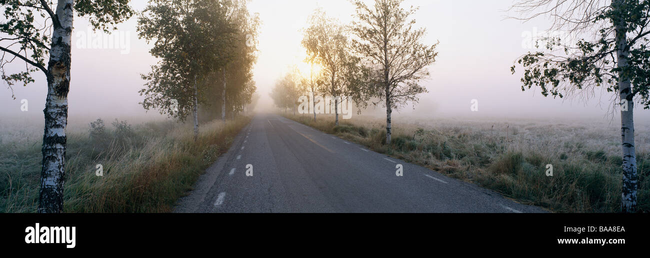 Au milieu de la route à l'aube de la prairie Banque D'Images