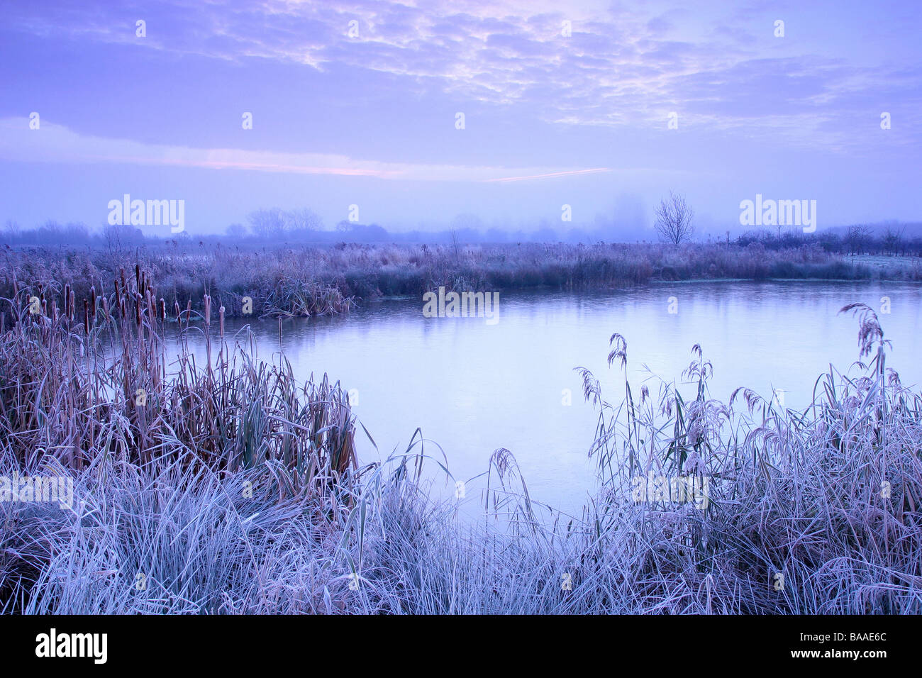 Frosty matin au bord de l'eau parc de pays barton sur humber lincolnshire du nord Royaume-Uni décembre Banque D'Images