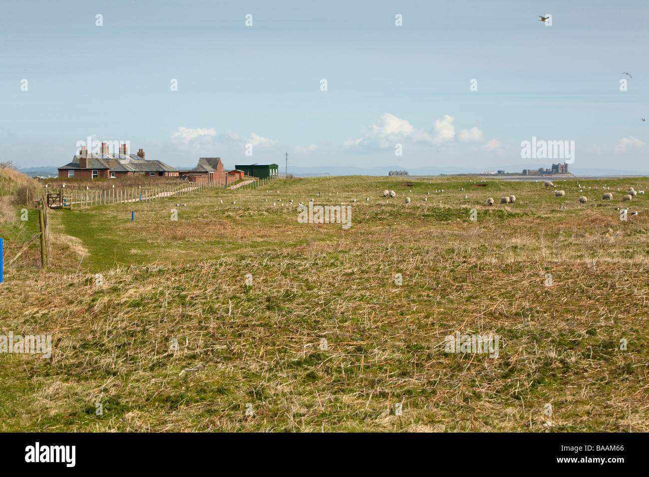 Centre d'accueil des bâtiments de Walney Island Nature Reserve Barrow in Furness Cumbria Uk Banque D'Images