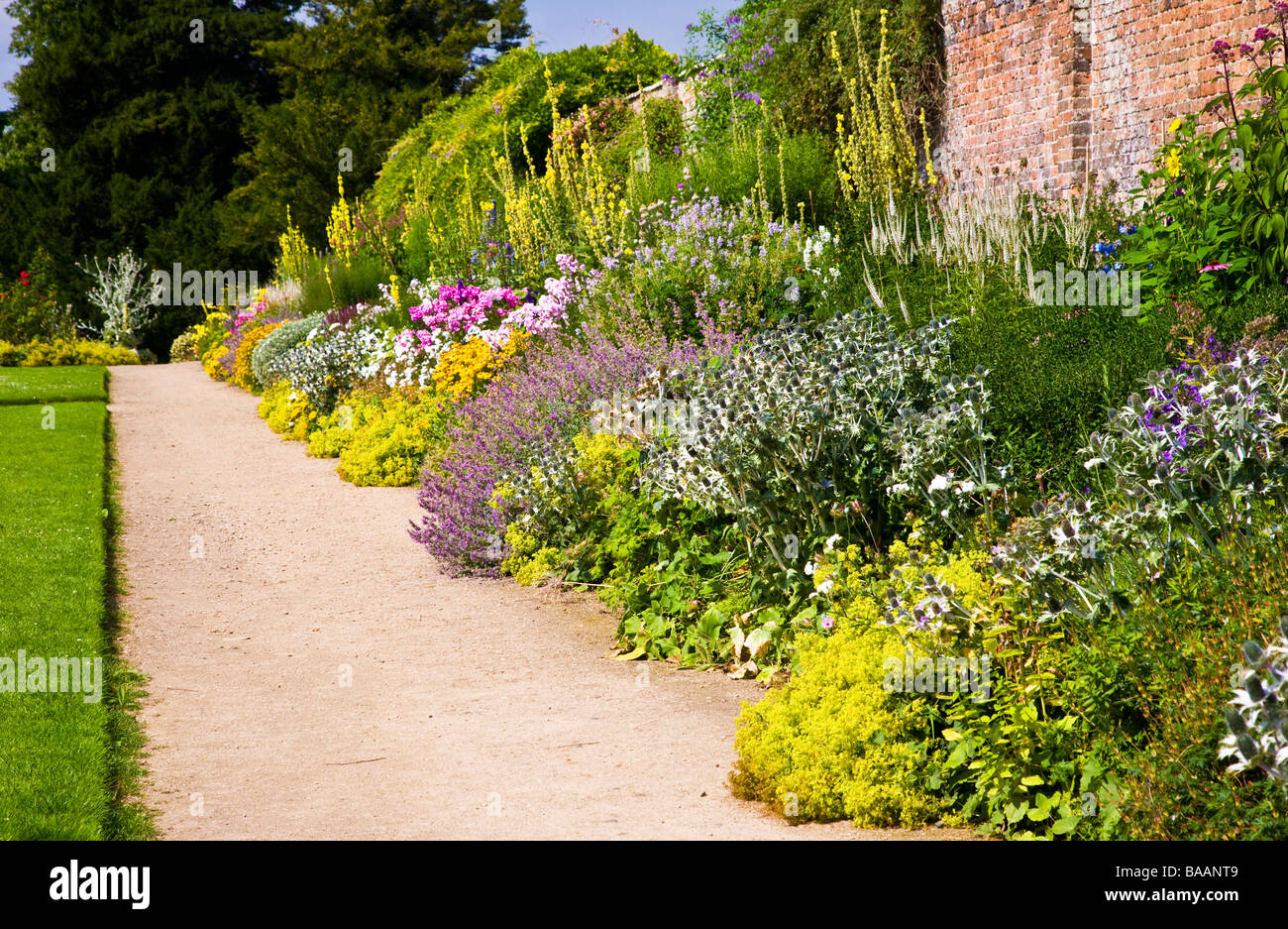 Vivace herbacée colorés de l'été sur la frontière d'une journée ensoleillée à Wheatley Jardins Waterperry Oxfordshire England UK Banque D'Images