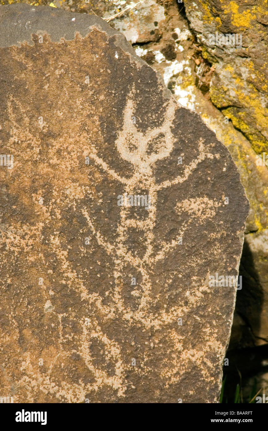 Petroglyph / Pictogramme - Columbia Hills State Park, Washington Banque D'Images