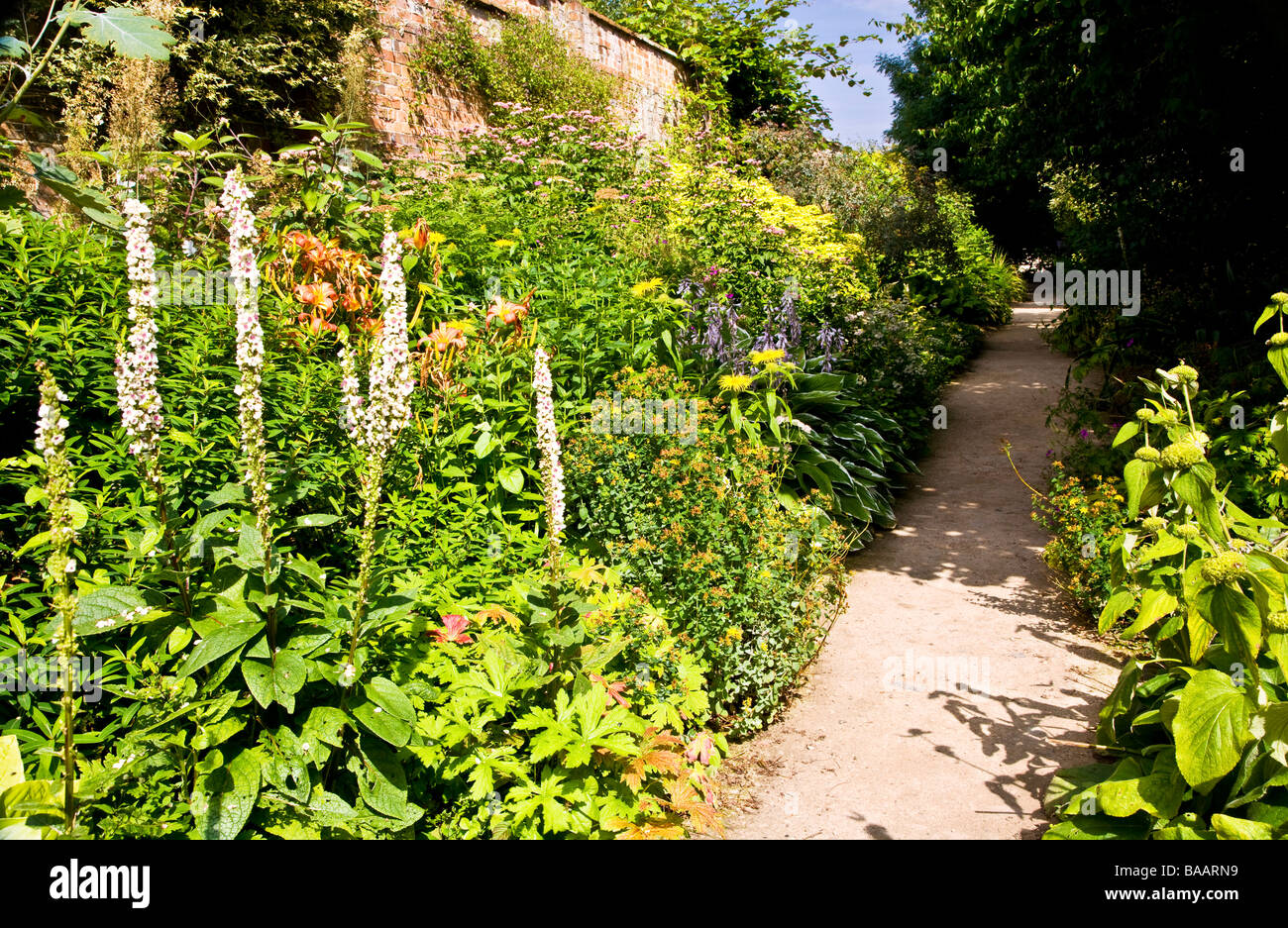 Chemin de jardin connu sous le nom de la Vierge, à pied entre frontières vivace herbacée à Waterperry Gardens Wheatley Oxfordshire Banque D'Images