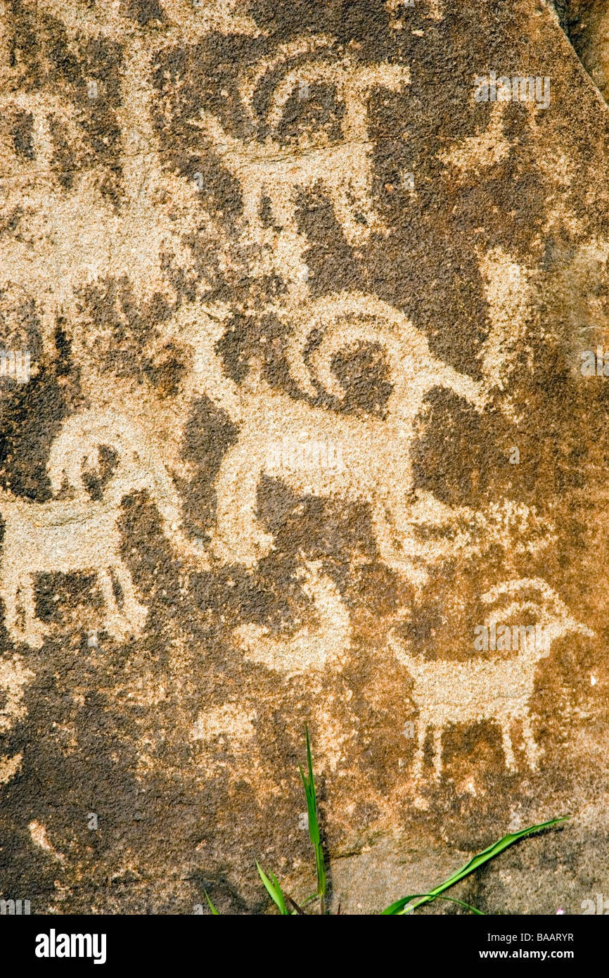Petroglyph / Pictogramme - Columbia Hills State Park, Washington Banque D'Images