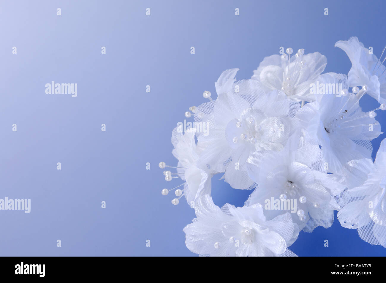 Fleurs de mariage blanc Banque D'Images
