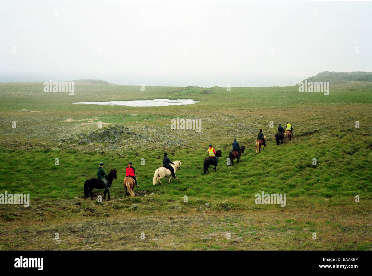 Les cavaliers à cheval dans un pré, Islande Banque D'Images
