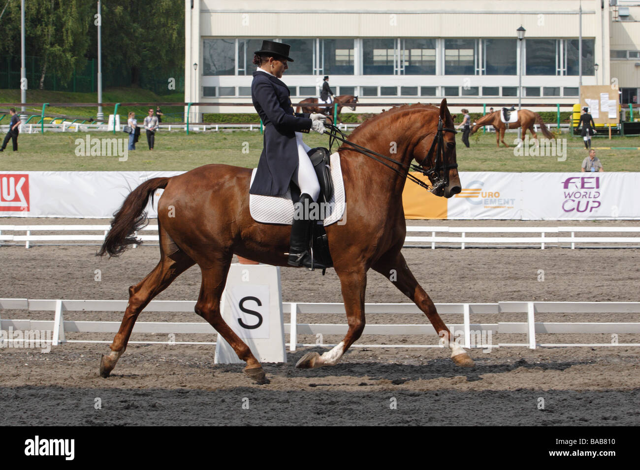 Fille et cheval trottant sur le sport arena Banque D'Images