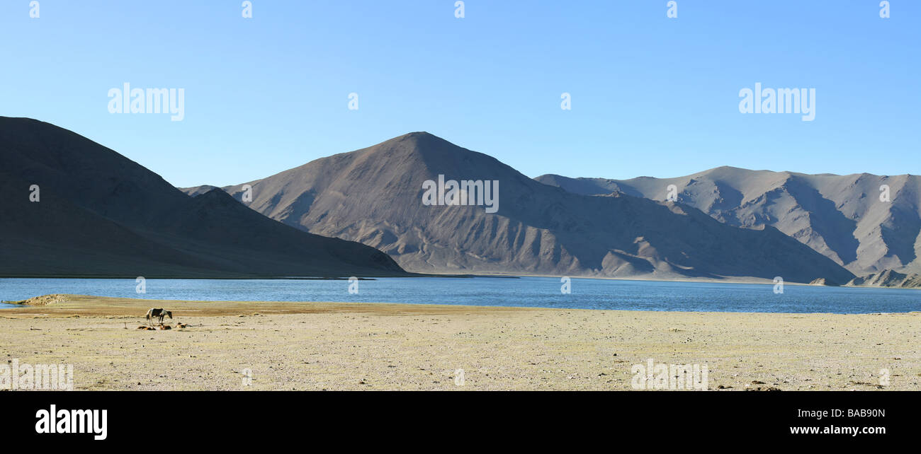 Beau paysage de Mongolie à cheval sur la gauche de la photo Banque D'Images
