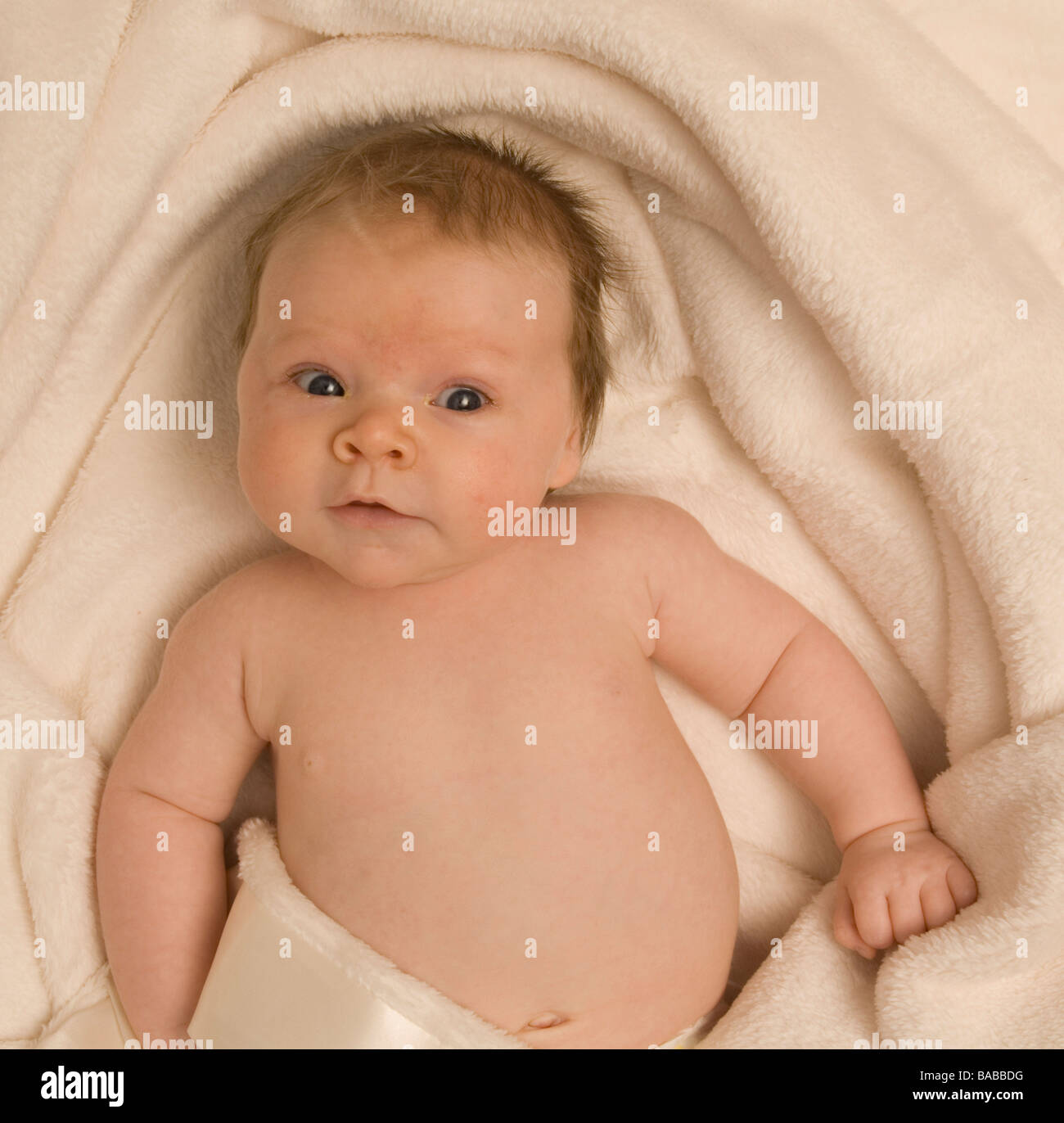 7 Semaine Bebe Portrait Photo Stock Alamy 7 Semaine Bebe Portrait Photo Stock Alamy
