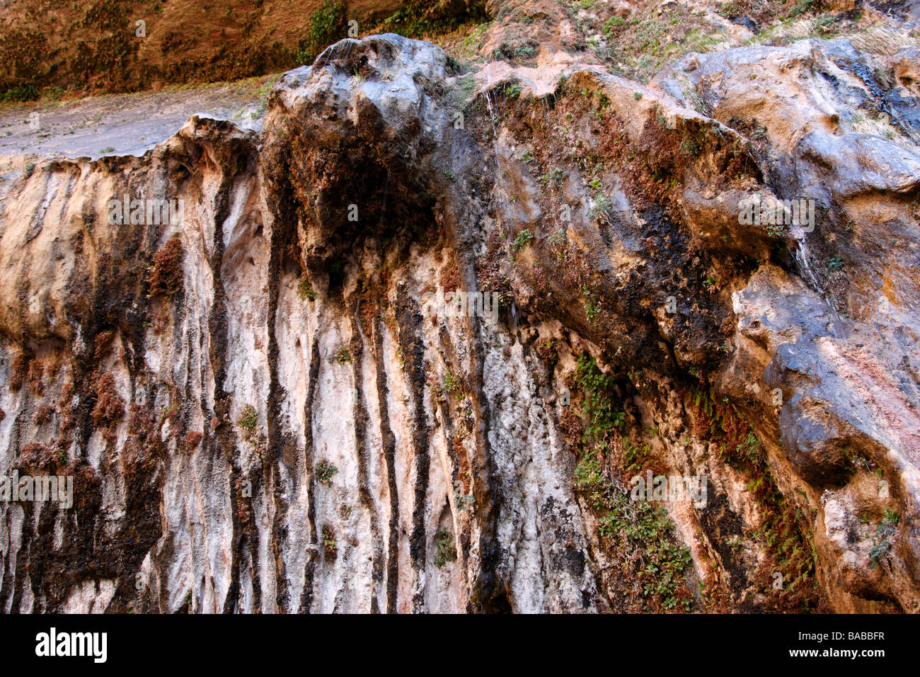 Les pleurs rock à Zion Canyon National Park Utah usa Banque D'Images