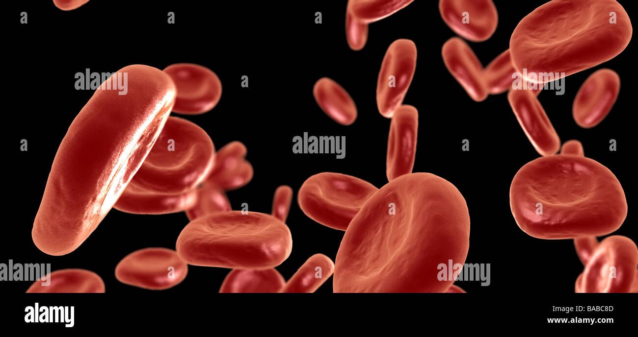 Rendu 3D de haute qualité d'un groupe de globules rouges du sang qui coule Banque D'Images