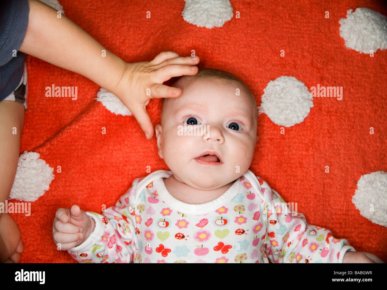 Une petite main tapotant la tête d'un bébé en Suède Banque D'Images