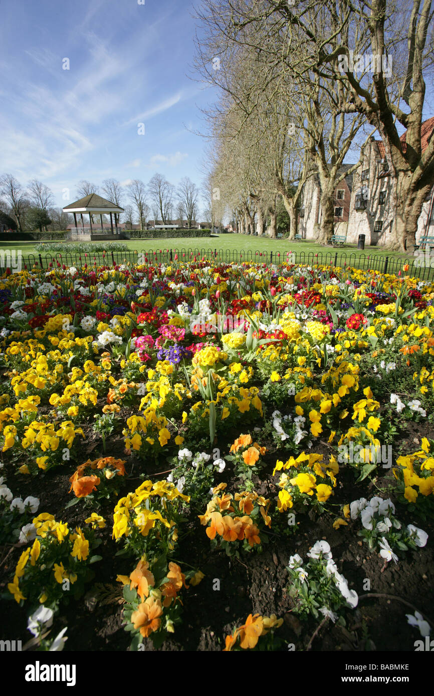 La ville de Wells, en Angleterre. Lit de fleurs colorées dans les puits Terrain de parc public avec le Kiosque en arrière-plan. Banque D'Images