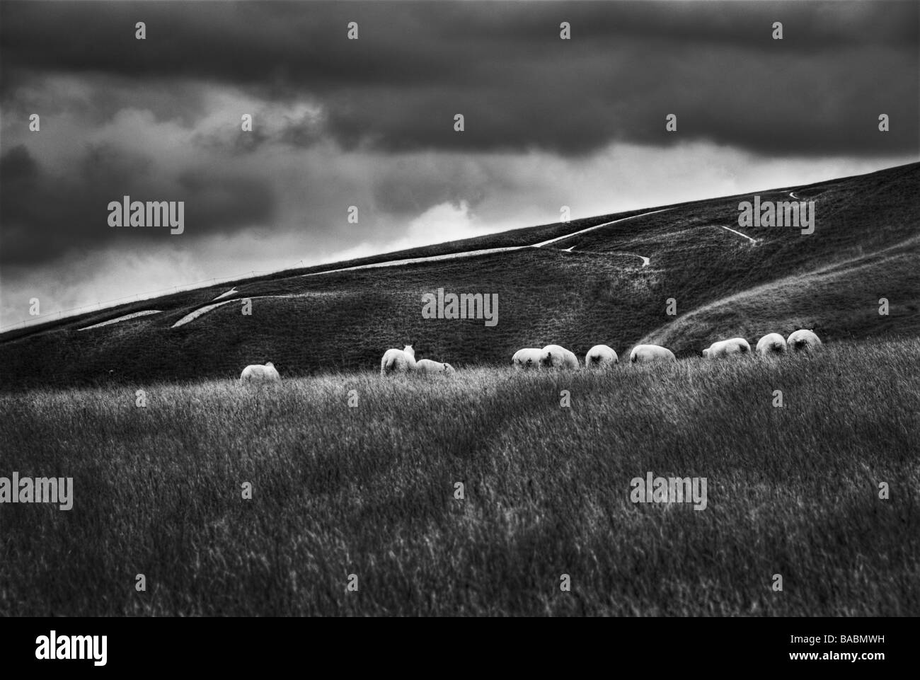 Uffington White Horse Banque D'Images