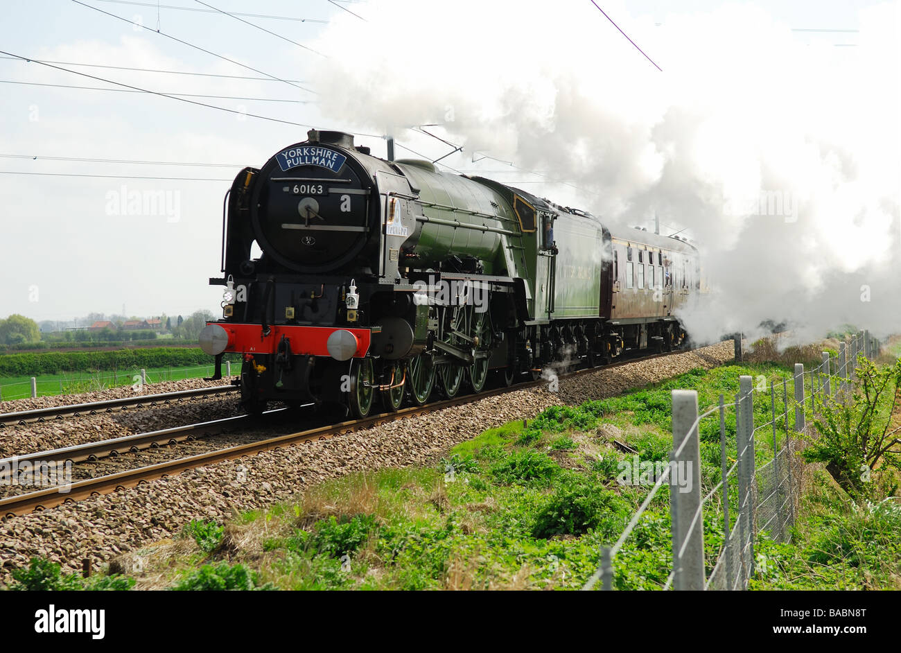 Tornado 60163 Yorkshire Pullman Train à vapeur. Banque D'Images