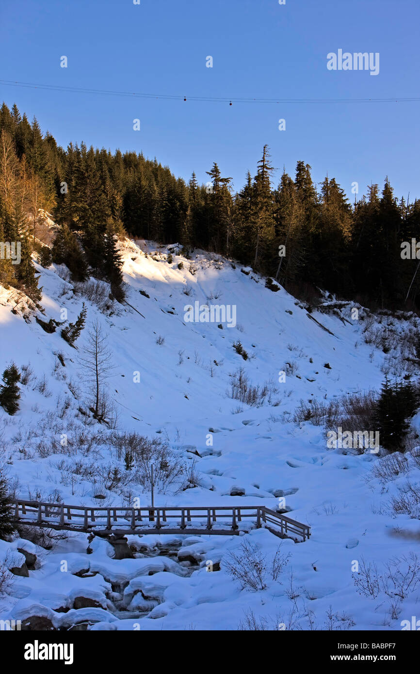 Fitzsimmons Creek Valley entre Whistler et Blackcomb,Canada. Banque D'Images
