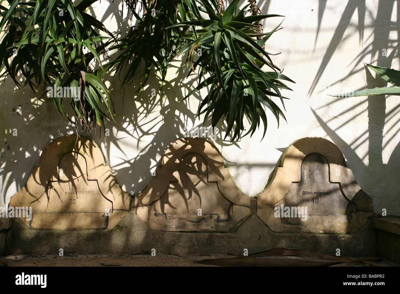 Mur de jardin / coin salon avec plante en surplomb Aloe striatula, ensoleillé Banque D'Images