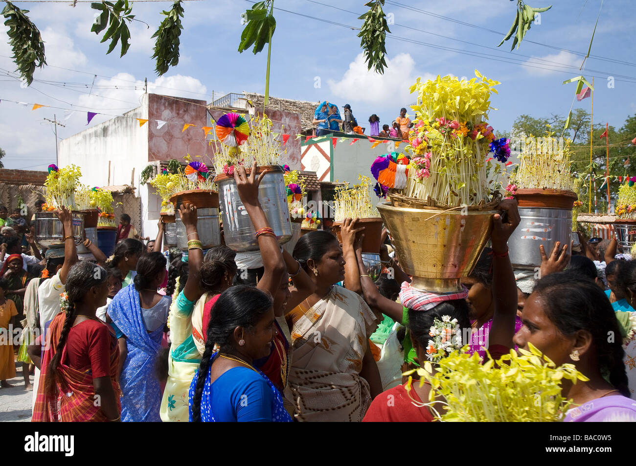 Inde, Tamil Nadu, Pongal, Harvest Festival, plantes, préparés à marcher en procession Banque D'Images