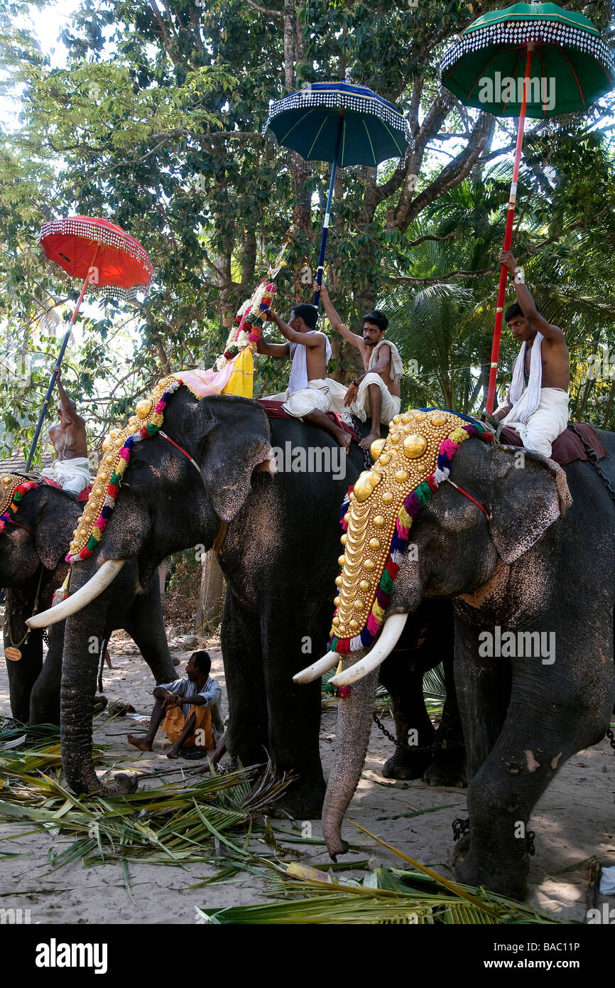 L'Inde, le Tamil Nadu, Pongal, Harvest Festival, éléphants décorés Banque D'Images