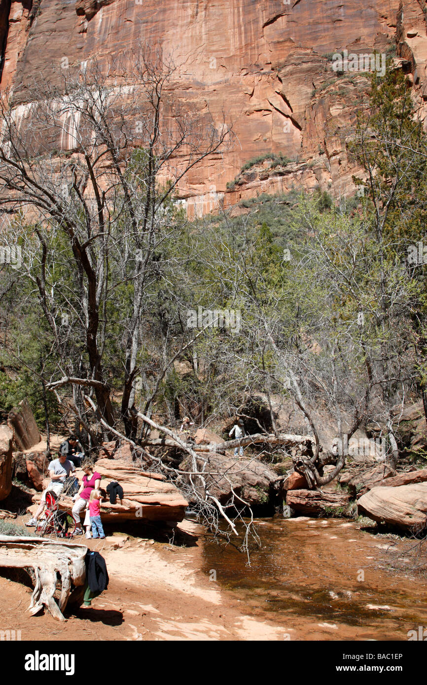 Emerald pool moyen Zion Canyon National Park Utah usa Banque D'Images