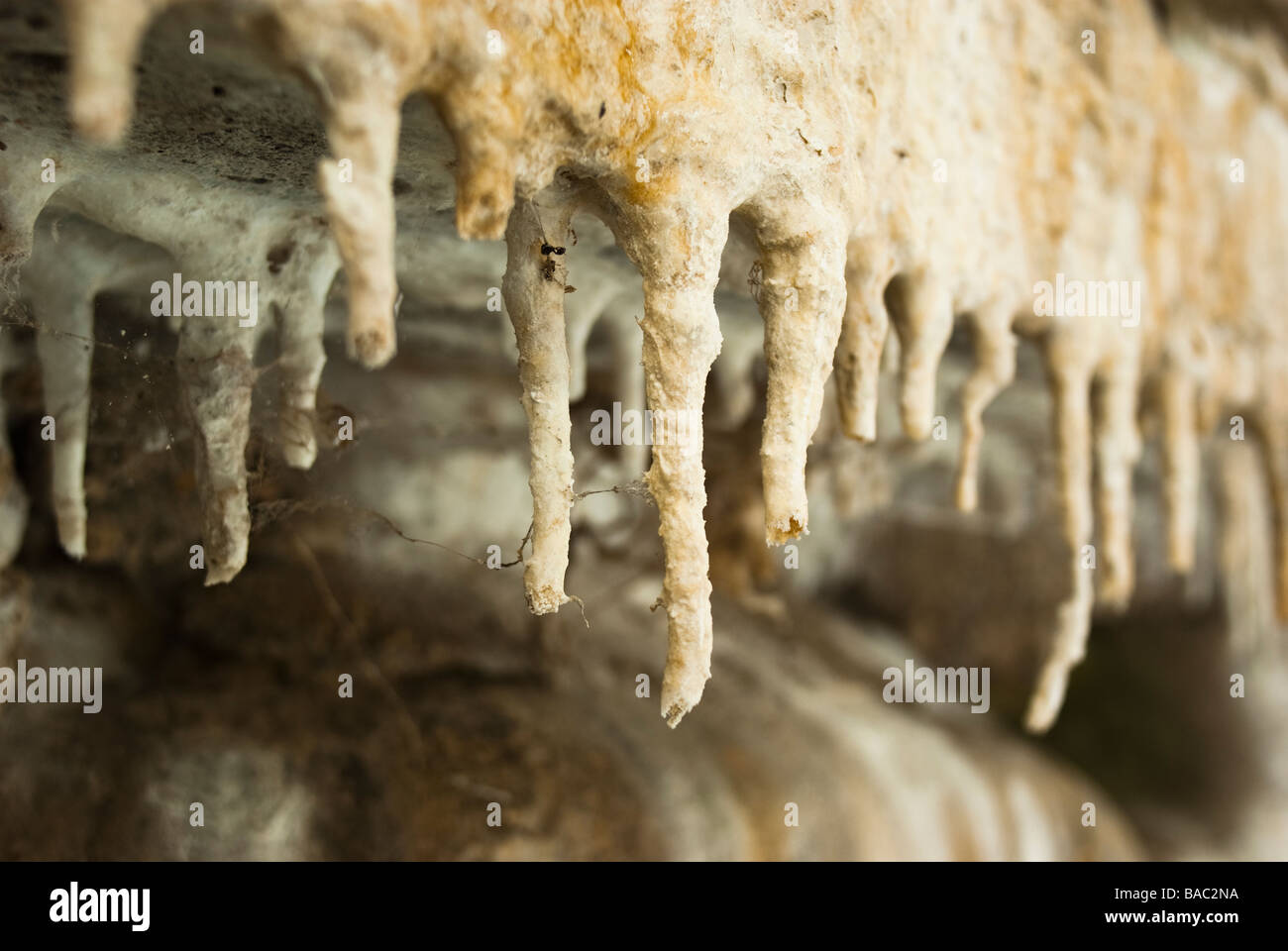 Forme des stalactites sur le béton sous un pont de chemin de fer Banque D'Images