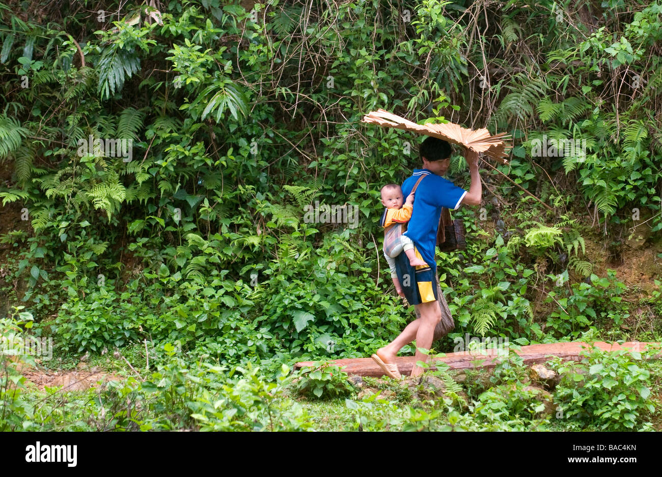 Vietnam, province de Hoa Binh, Ban Ko village de Muong ethnique Tay blanc et son bébé à l'abri de la pluie avec un Palm Banque D'Images