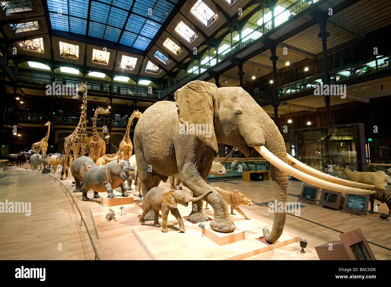 France, Paris, Jardin des Plantes, Musée