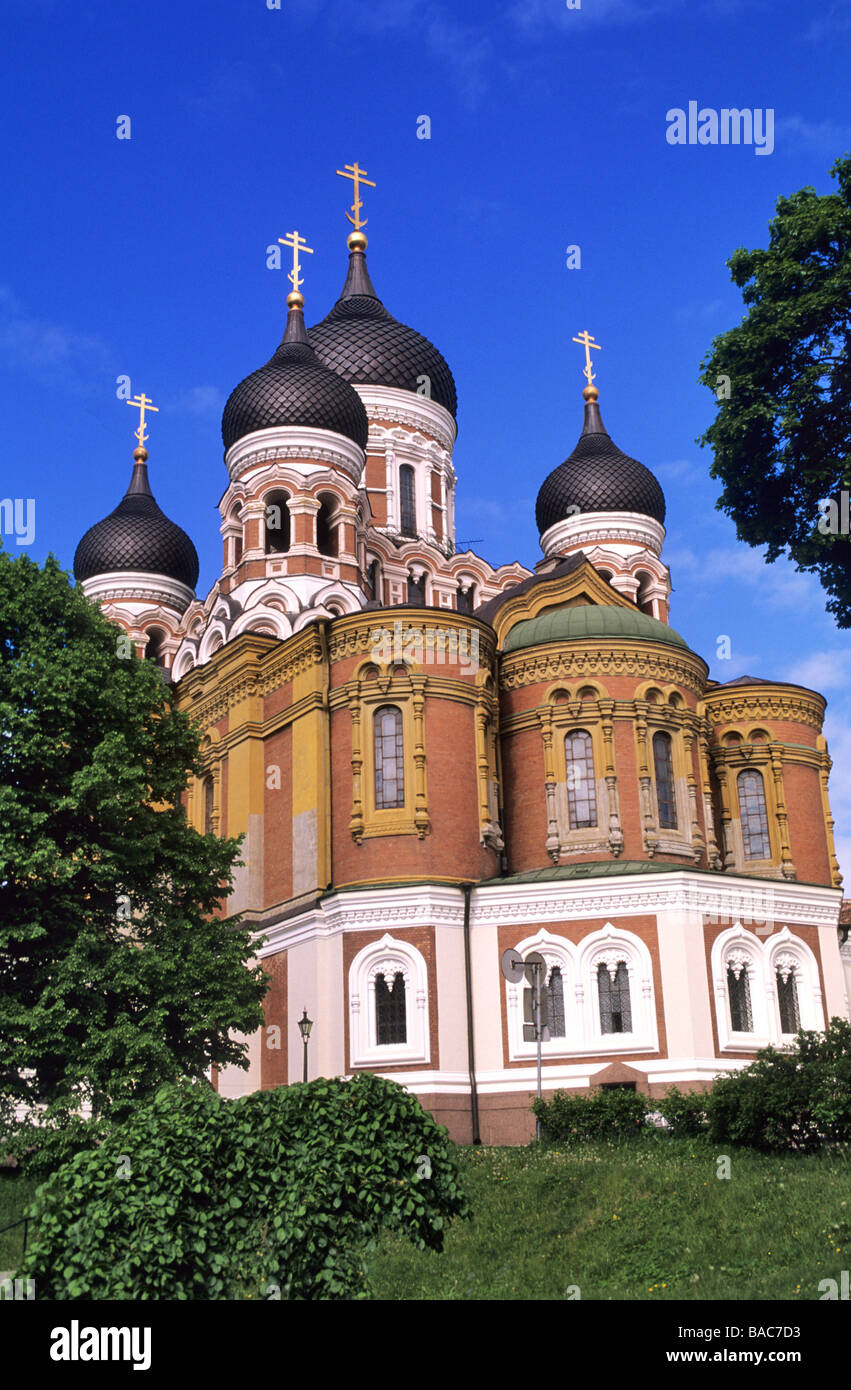 Estonie (pays baltes), la région de Harju, Tallinn, vieille ville, La Cathédrale Orthodoxe Alexandre Nevsky Banque D'Images