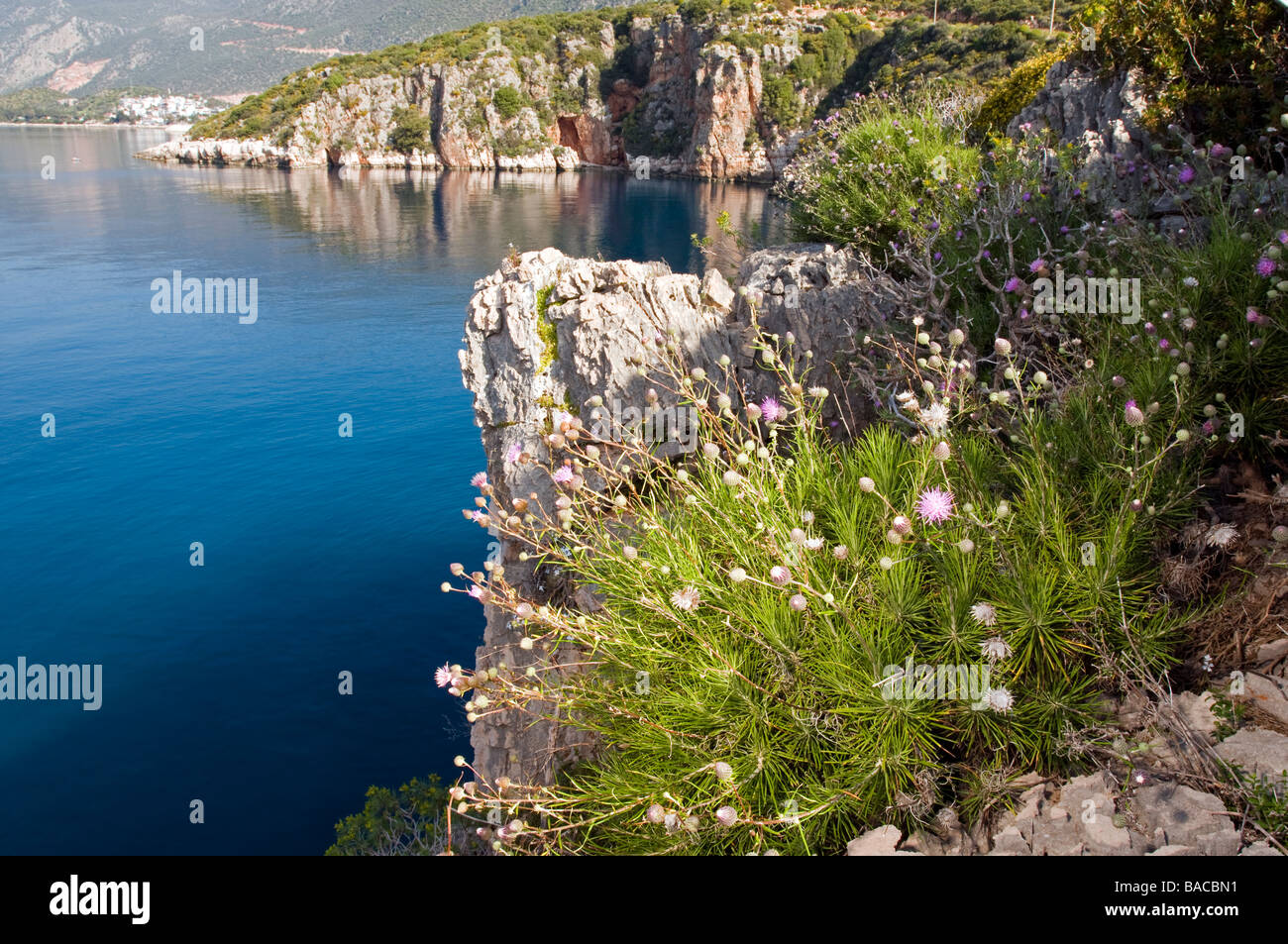 Vue panoramique sur la mer Méditerranée, Kas Antalya Turquie Banque D'Images