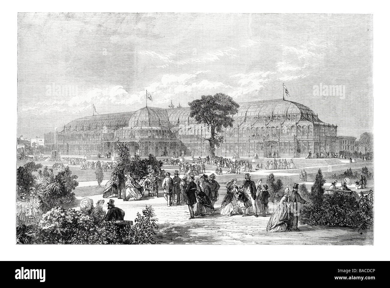 Jardin d'hiver et bâtiment d'exposition Exposition International de Dublin des Arts et Manufactures Earlsfort Terrace 1865 Banque D'Images