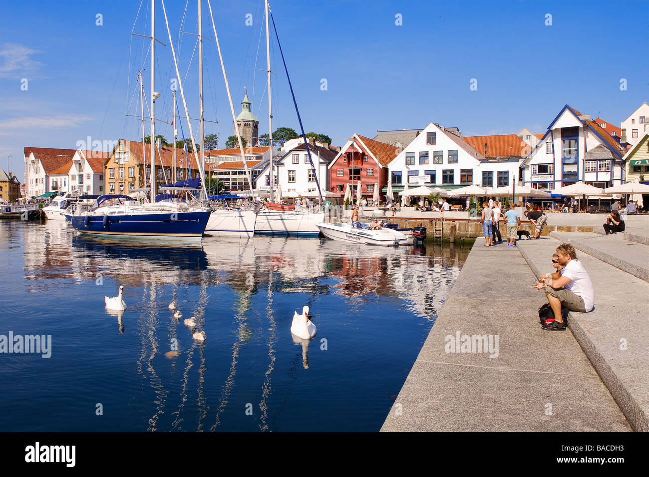 La Norvège, la région Rogaland, Stavanger, bateaux de plaisance et de cygnes dans le vieux port (Vagen) Banque D'Images