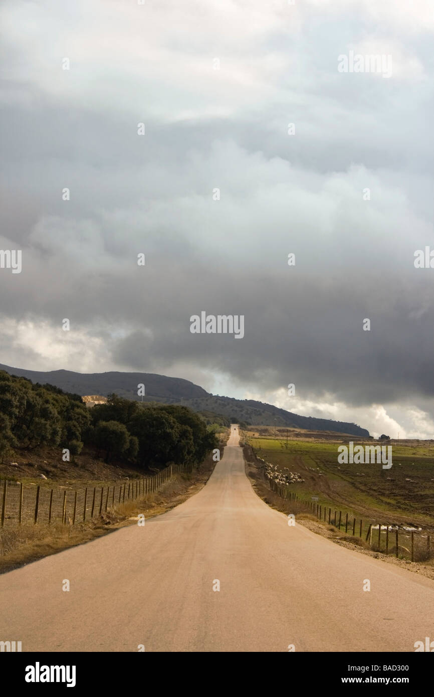 Longue route droite disparaissant dans la distance sous ciel d'orage dans la région d'Axarquia de l'Espagne Banque D'Images
