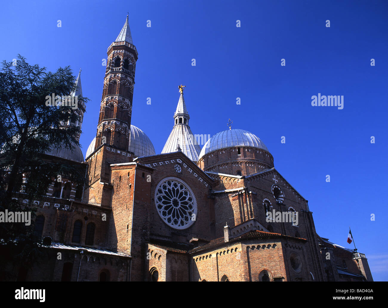 Basilique del Santo Basilique de St Antoine de Padoue Padoue Padoue Vénétie Italie Banque D'Images
