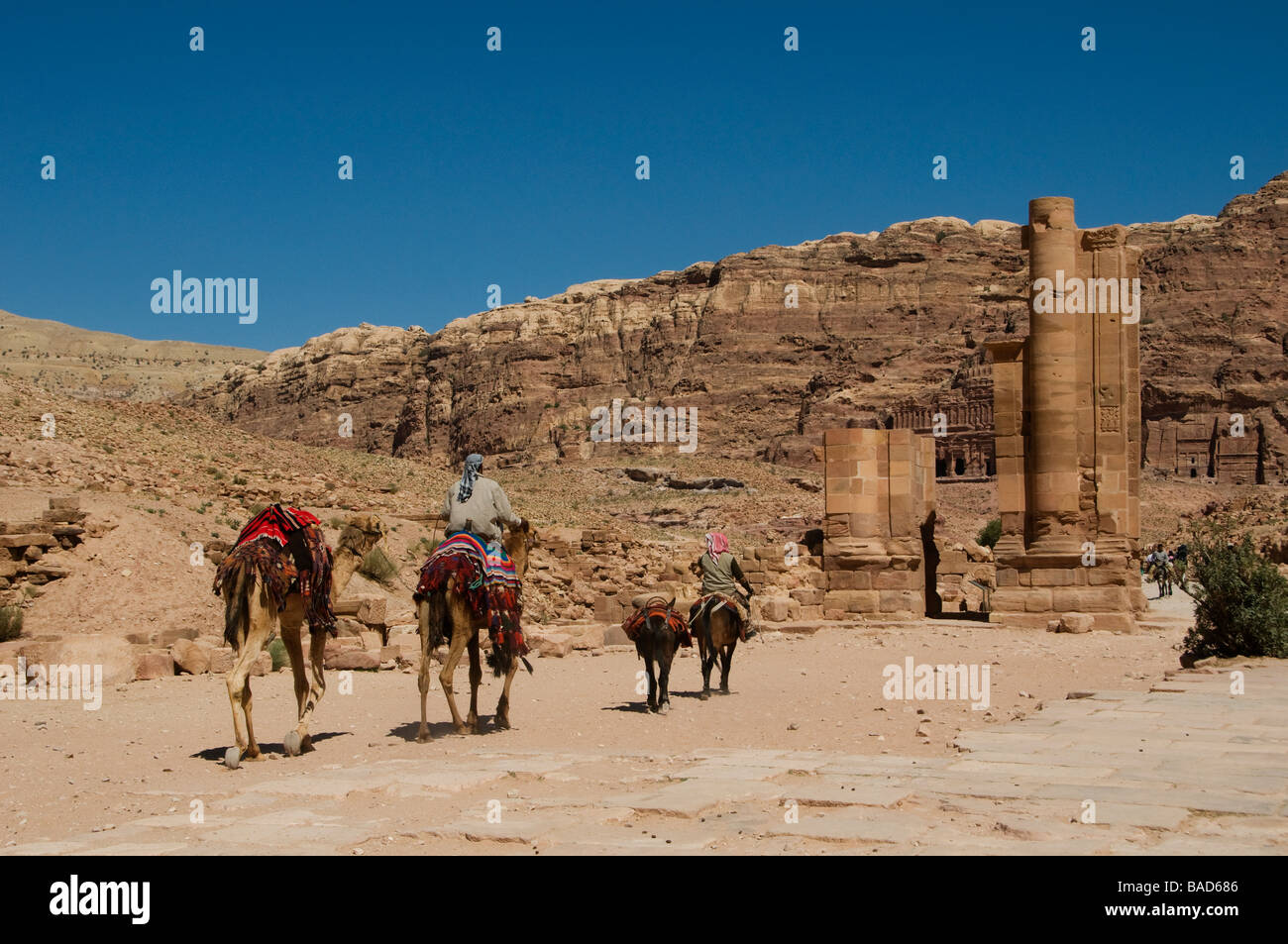 Bédouins de la tribu Zawaideh monté sur un chameau et l'âne à l'ancienne rue Colonnade dans l'ancienne ville nabatéenne de Pétra en Jordanie Banque D'Images