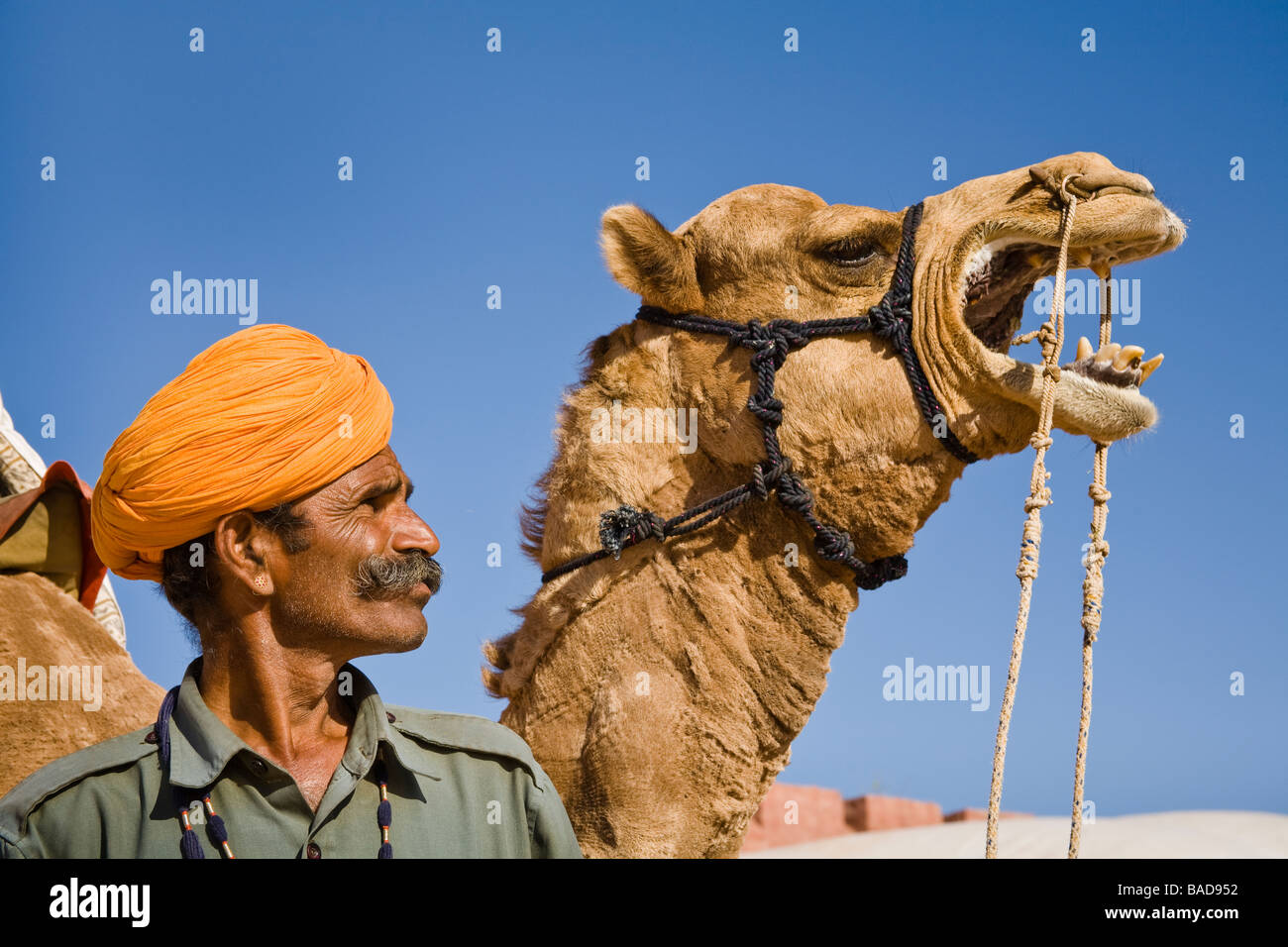 Homme debout à côté d'un chameau à Osian Camel Camp, Osian, Rajasthan, Inde Banque D'Images