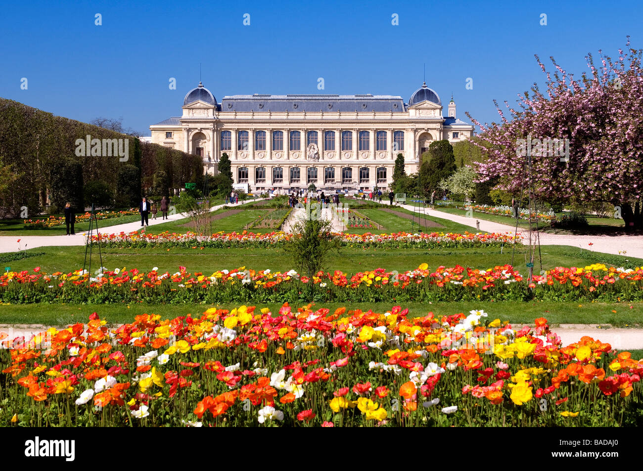 France, Paris, le Jardin des Plantes (plantes Jardins) et la Grande Galerie  de l'volution (Grande Galerie de l'volution Photo Stock - Alamy