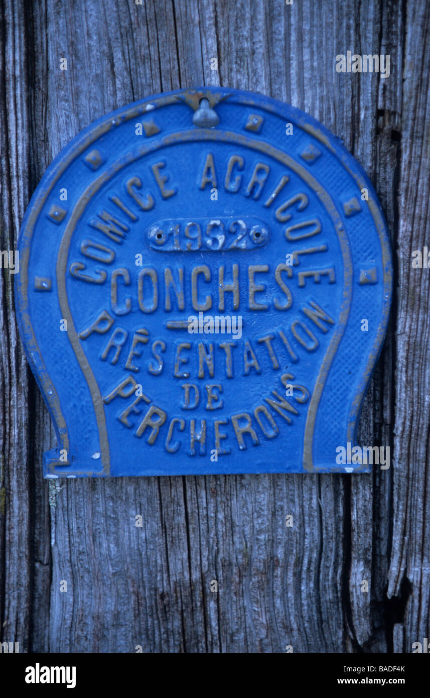 La France, l'Orne, le Perche, La Mesniere Montaumer, ferme, chevaux percherons Banque D'Images