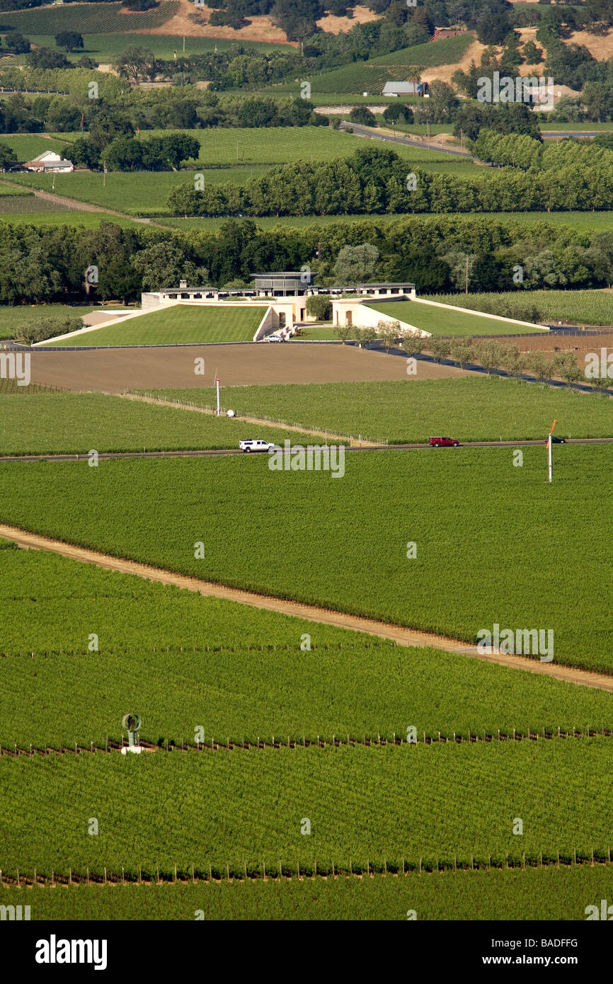 United States, California, Napa Valley, Oakville, Opus One Winery and Vineyard Banque D'Images