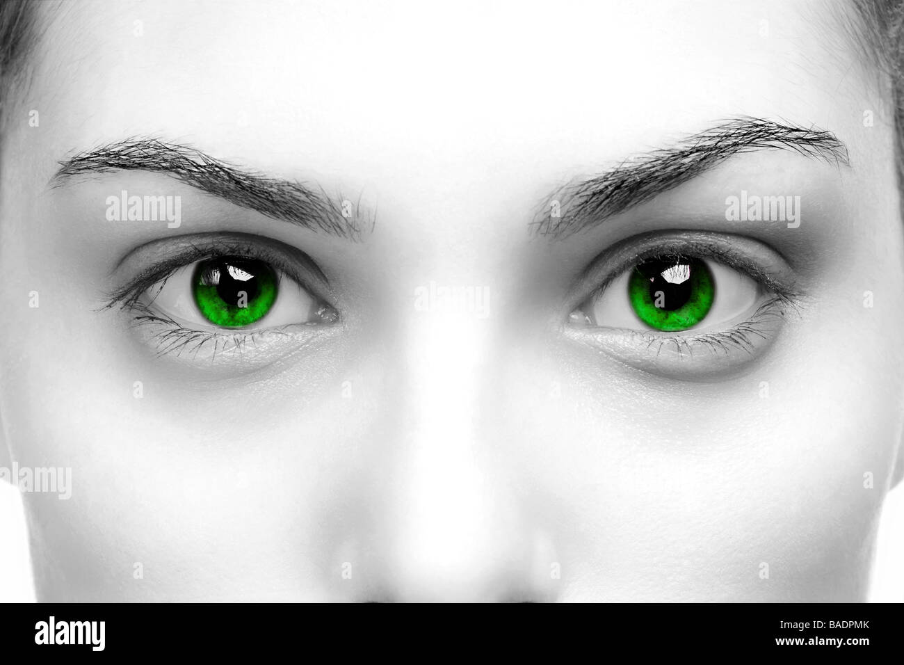Un contraste élevé noir blanc close up of a womans yeux de couleur verte Banque D'Images