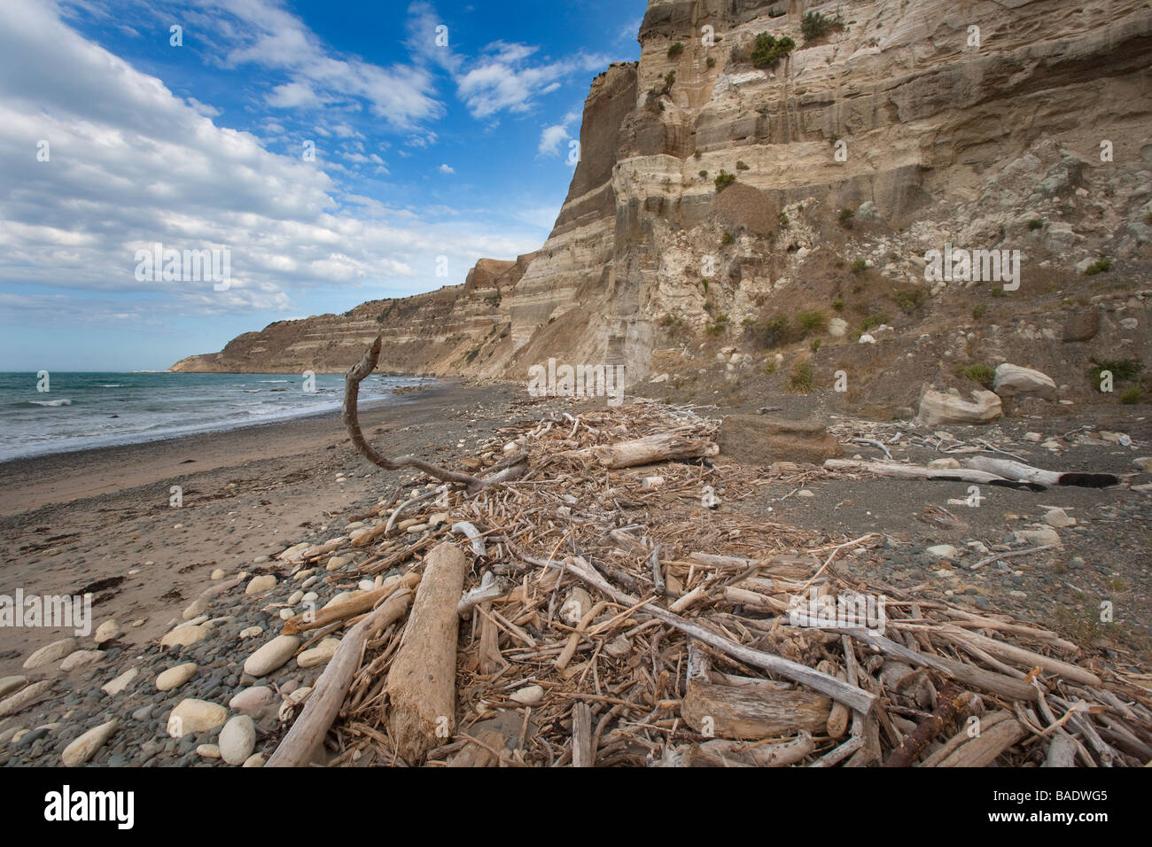 La réserve naturelle de Cape Kidnappers en Nouvelle-Zélande l'Île du Nord Banque D'Images