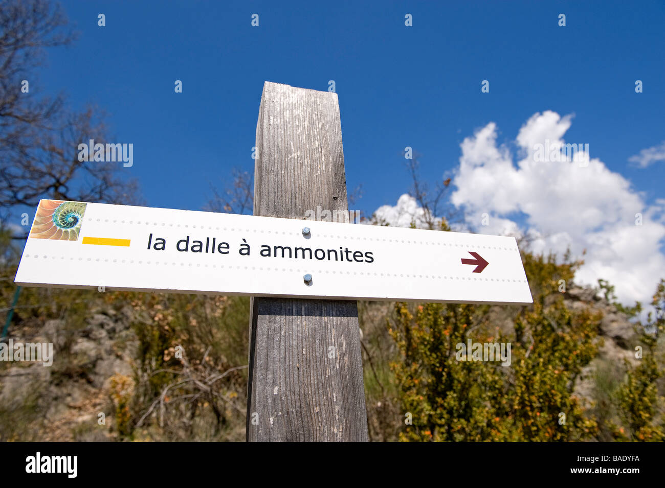 France, Alpes de Haute Provence, Naturel réserve géologique de Haute Provence, Pierre Drapeau d'ammonites de Digne les Bains Banque D'Images