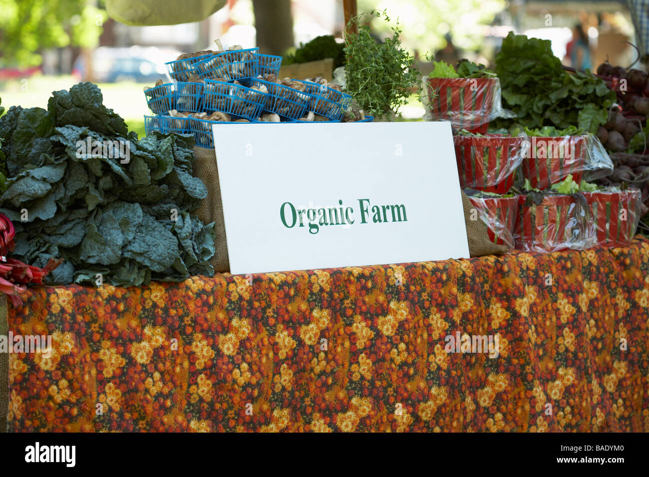 Des légumes bio en vente à Farmer's Market Banque D'Images