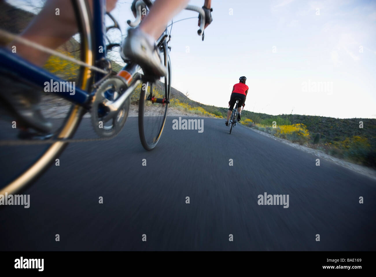 Low Angle View of Cyclists, Saguaro National Park, Arizona, USA Banque D'Images