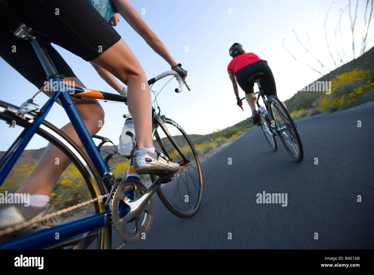 Low Angle View of Cyclists, Saguaro National Park, Arizona, USA Banque D'Images