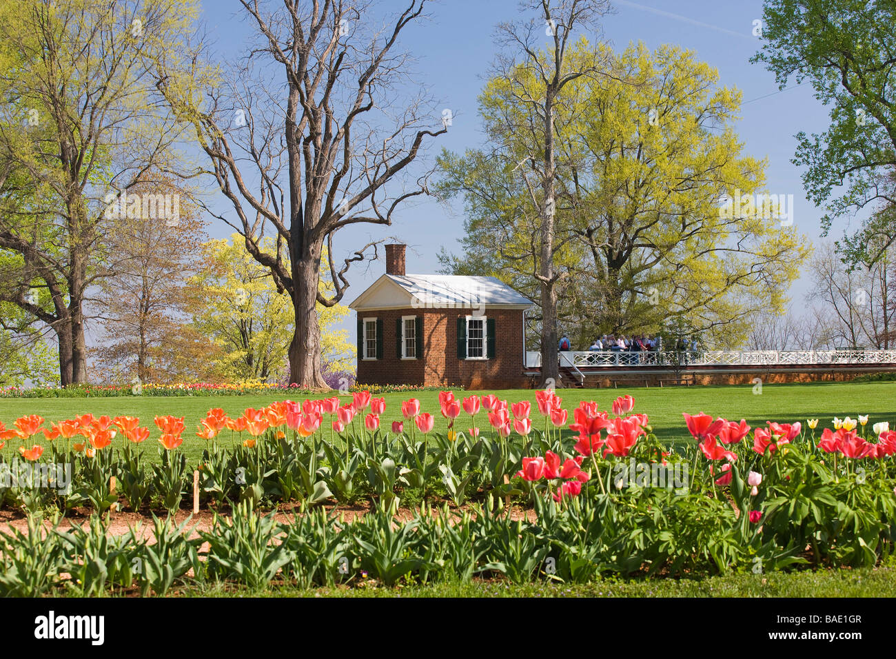 Les États-Unis 3e président Thomas Jefferson construit sa maison Monticello dans les contreforts d'Albemarle County, en Virginie. Banque D'Images