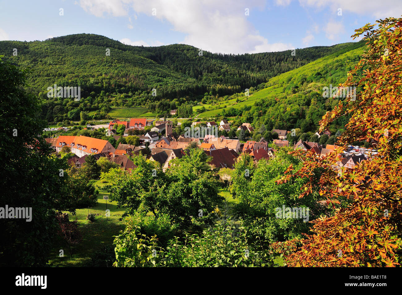 Vue de Kaysersberg du château de Kaysersberg, Haut-Rhin, Alsace, France Banque D'Images