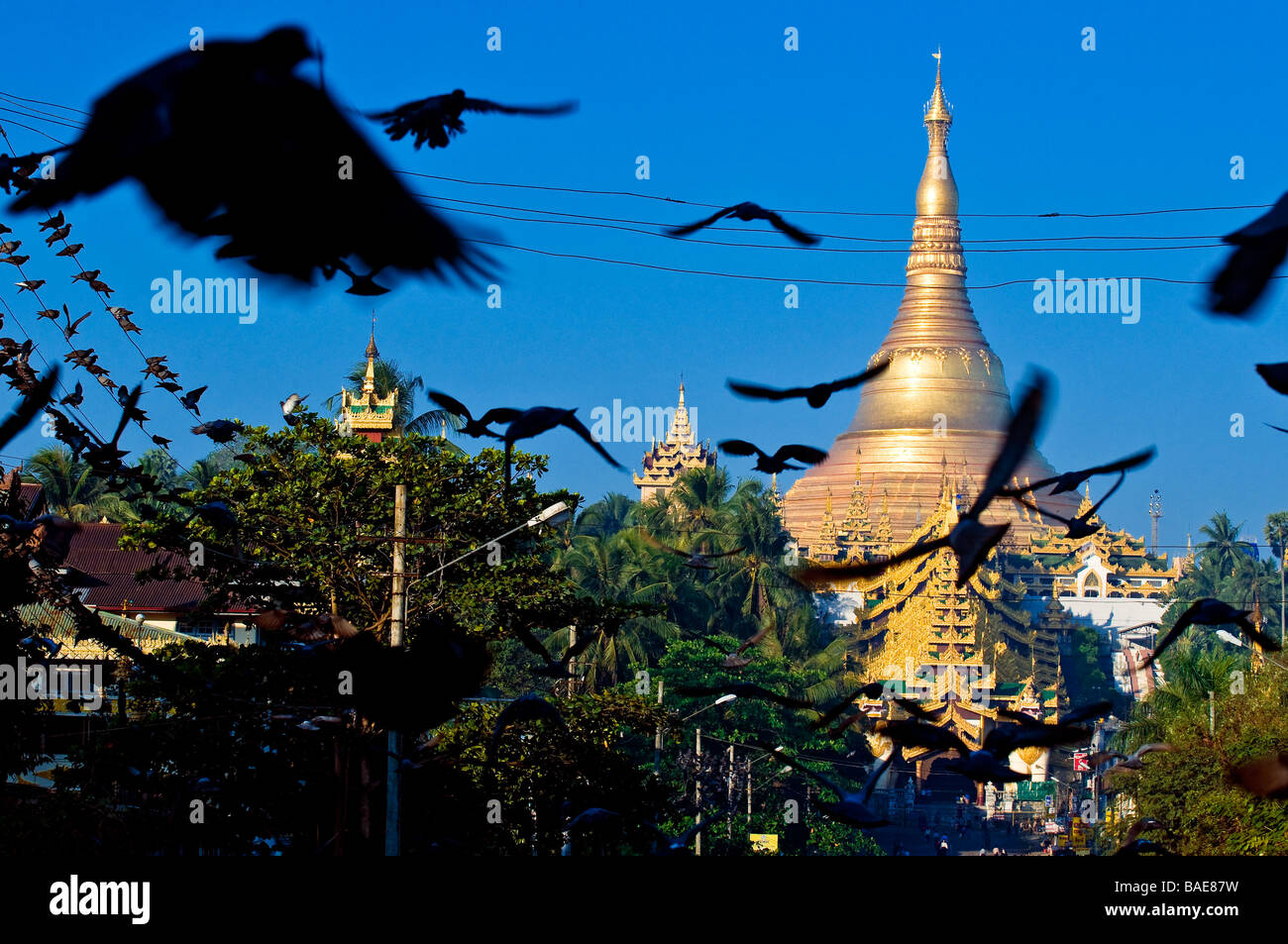 Myanmar (Birmanie), Division de Yangon, Yangon, district de Kandawgyi Avenue, Gabaraye Pagode, la pagode Shwedagon, le Moyen-Orient Banque D'Images